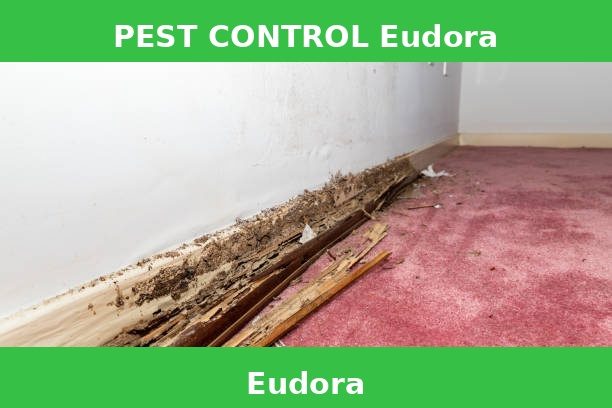 PEST CONTROL Eudora